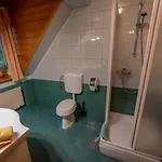 Korosec And Wellness Centre 4* Mozirje