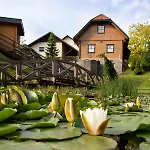 Korosec And Wellness Centre