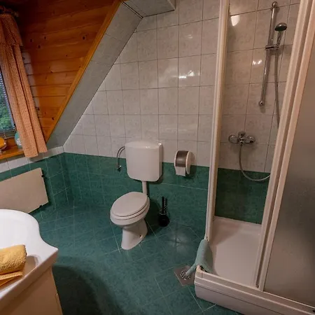 Korosec And Wellness Centre 4* Mozirje