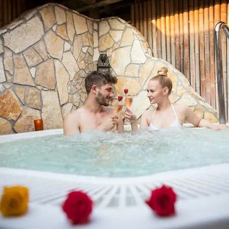 Korosec And Wellness Centre イン モジリェ