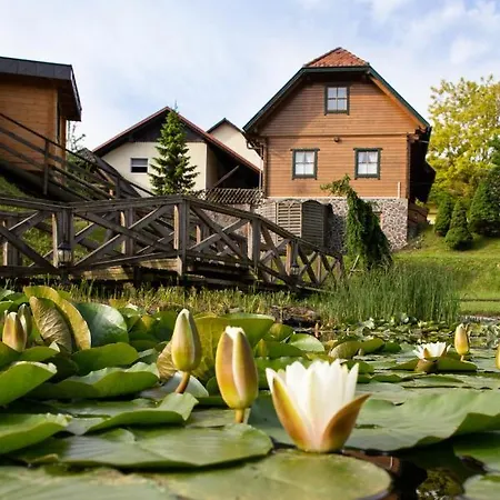 Korosec And Wellness Centre