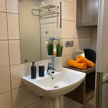 Korosec And Wellness Centre אורחן 4*