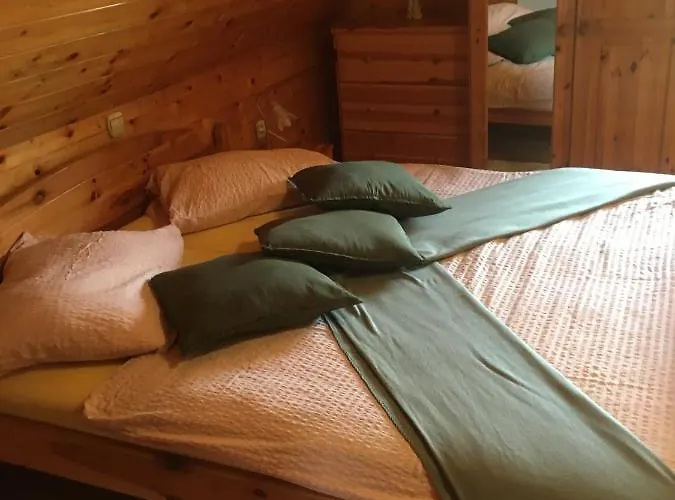 Korosec And Wellness Centre gostionica 4*