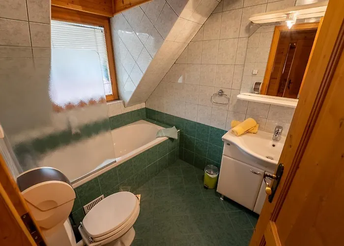 gostionica Korosec And Wellness Centre