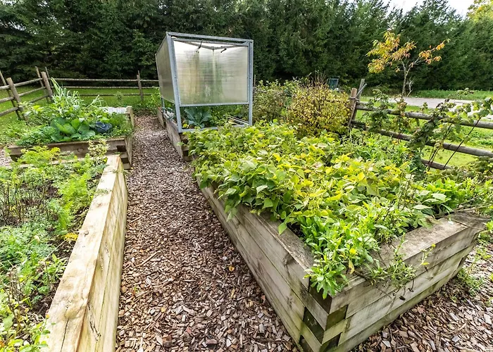 Korosec And Wellness Centre Mozirje