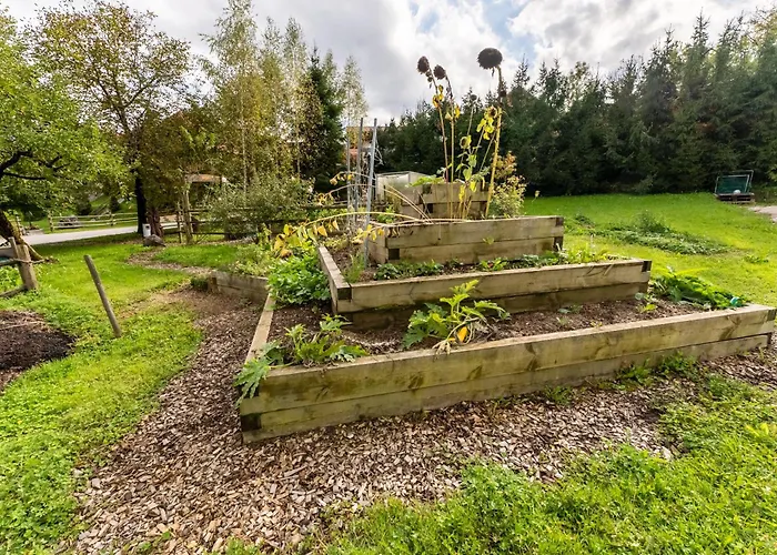 Korosec And Wellness Centre