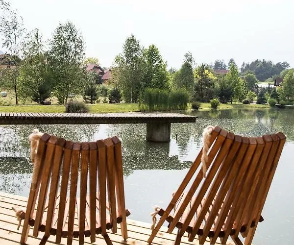 Korosec And Wellness Centre